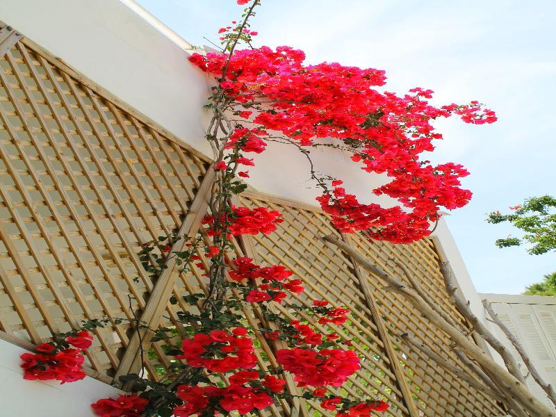 Melody Studios Faliraki Exterior foto
